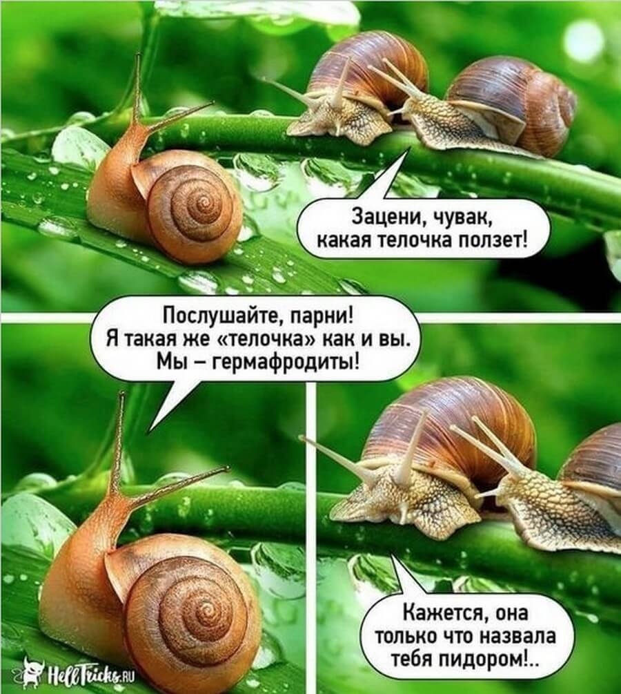 Весёлые открытки для поднятия настроения