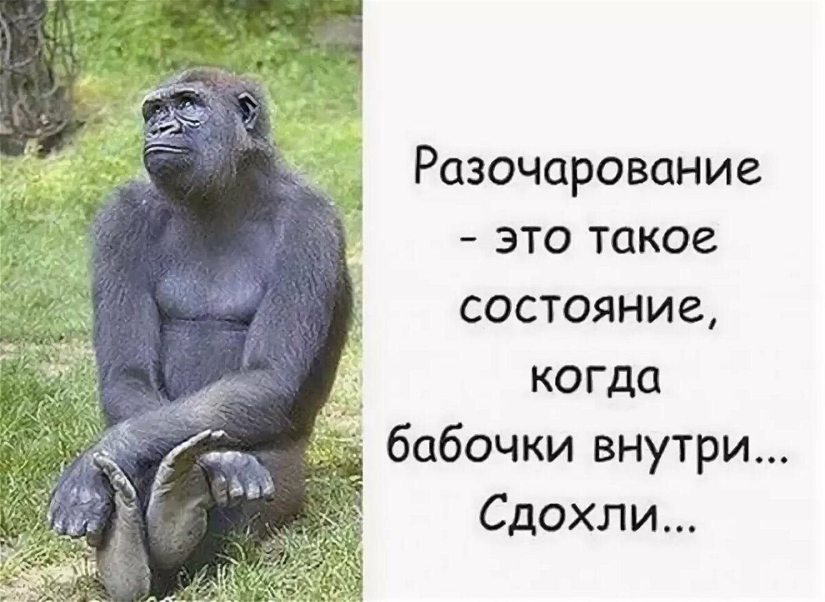 Открытки для поднятия настроения