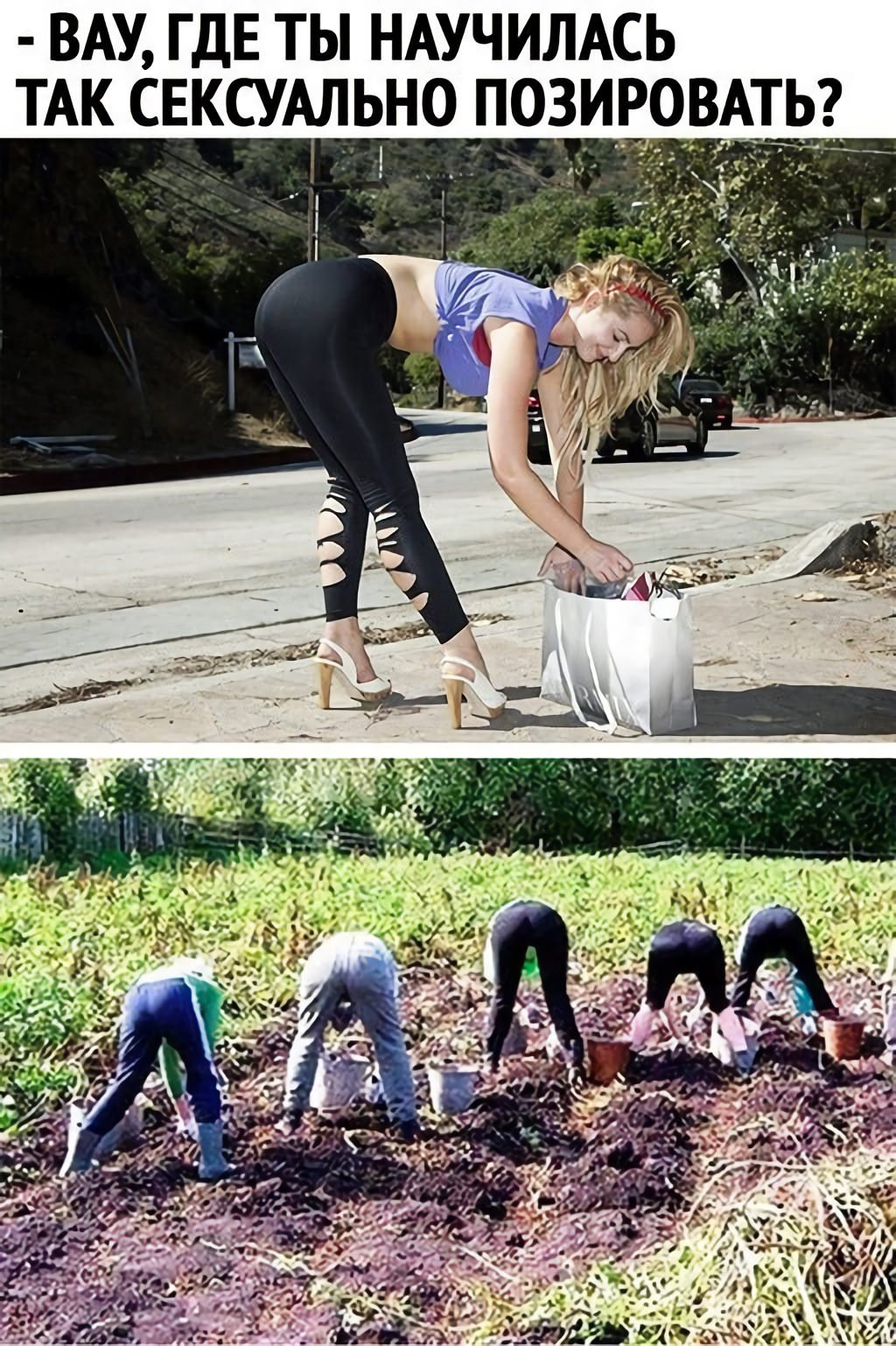 Позитивные цитаты