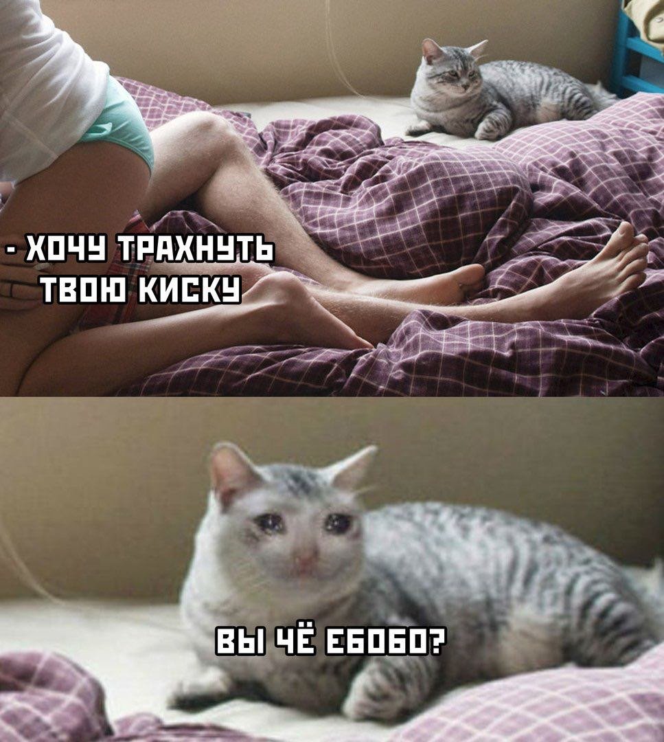 Открытки прикольные для поднятия настроения