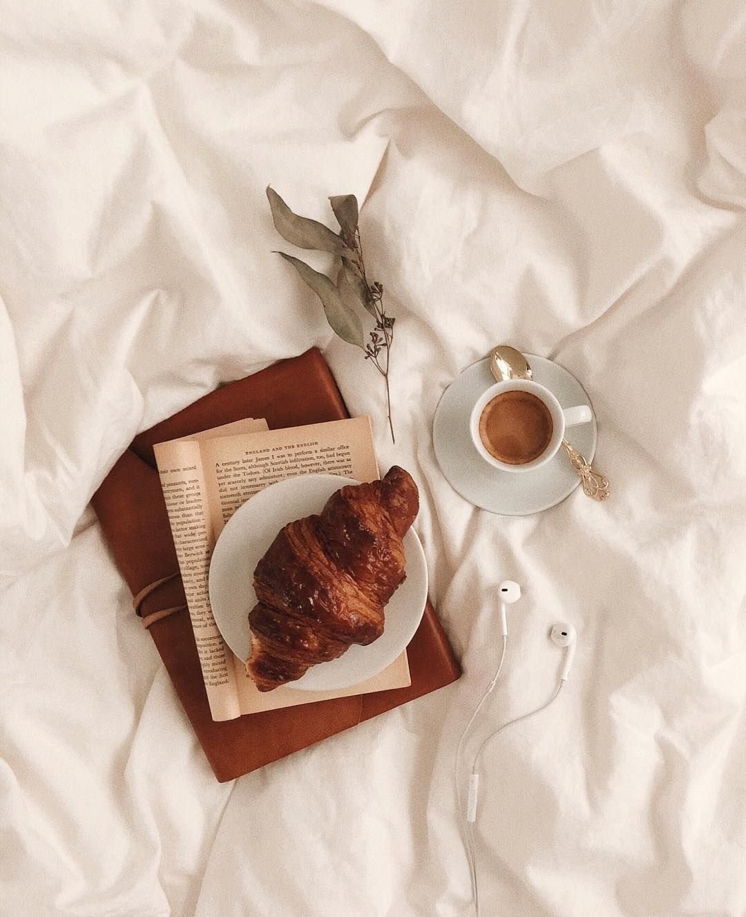 Утро Эстетика