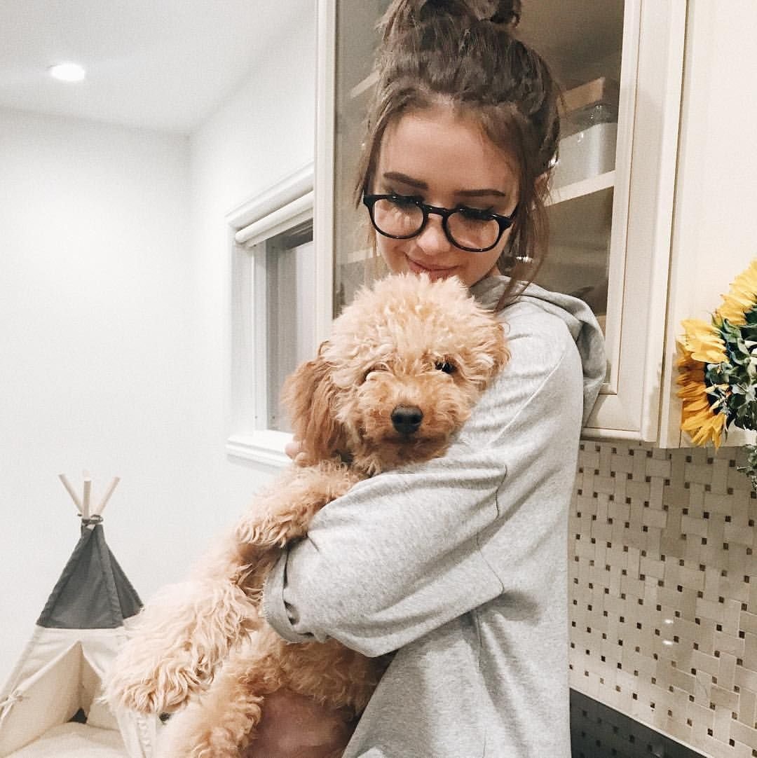 Красивые собаки в инст