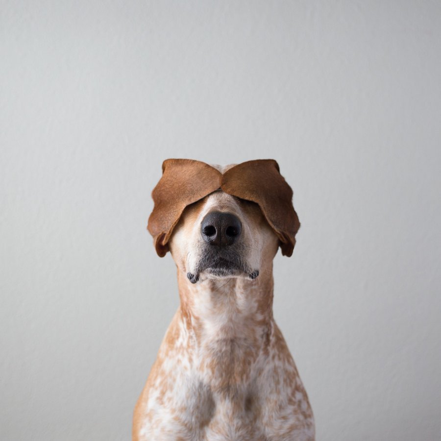 Терон Хамфри