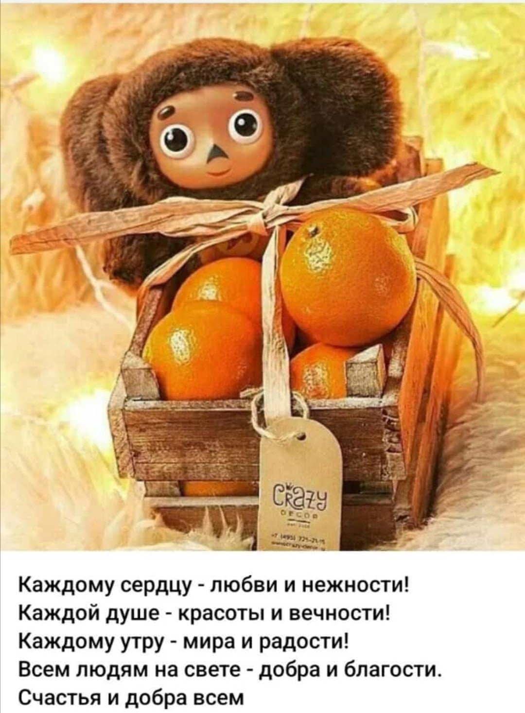 Чебурашка с апельсинами картинки