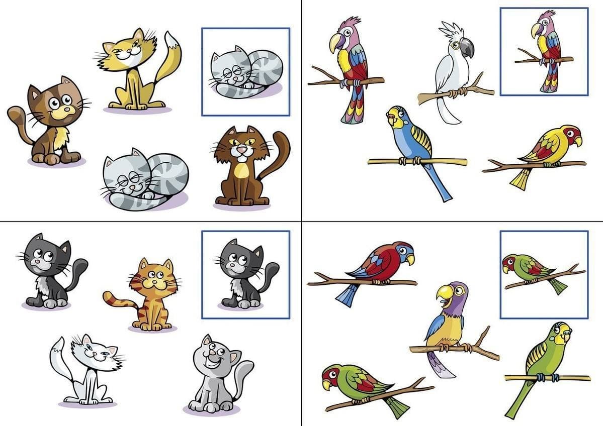 Подбери пару для дошкольников