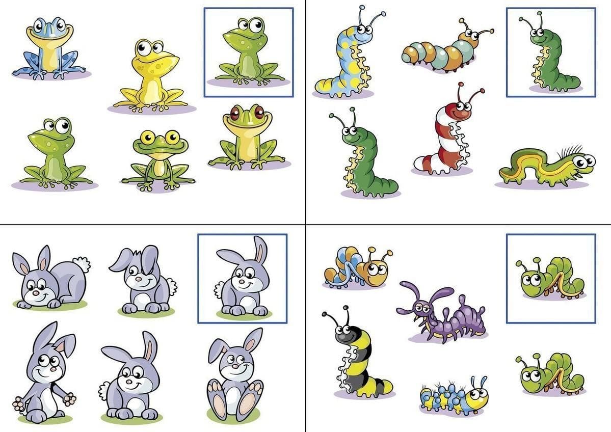 Найди пару для детей 4-5 лет