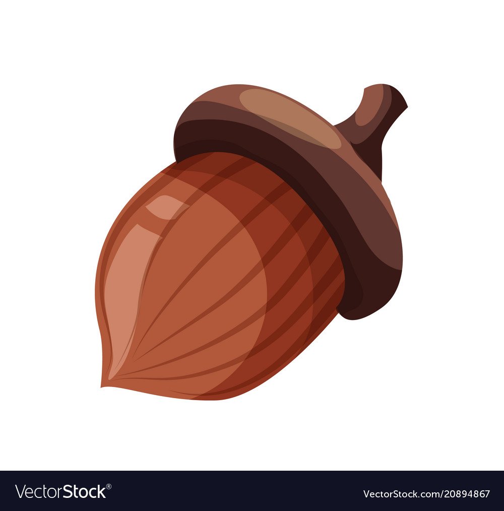 Коричневый Желудь мультяшный вектор