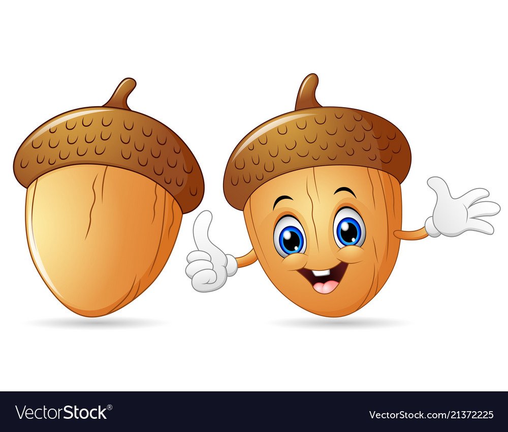 Веселый Желудь