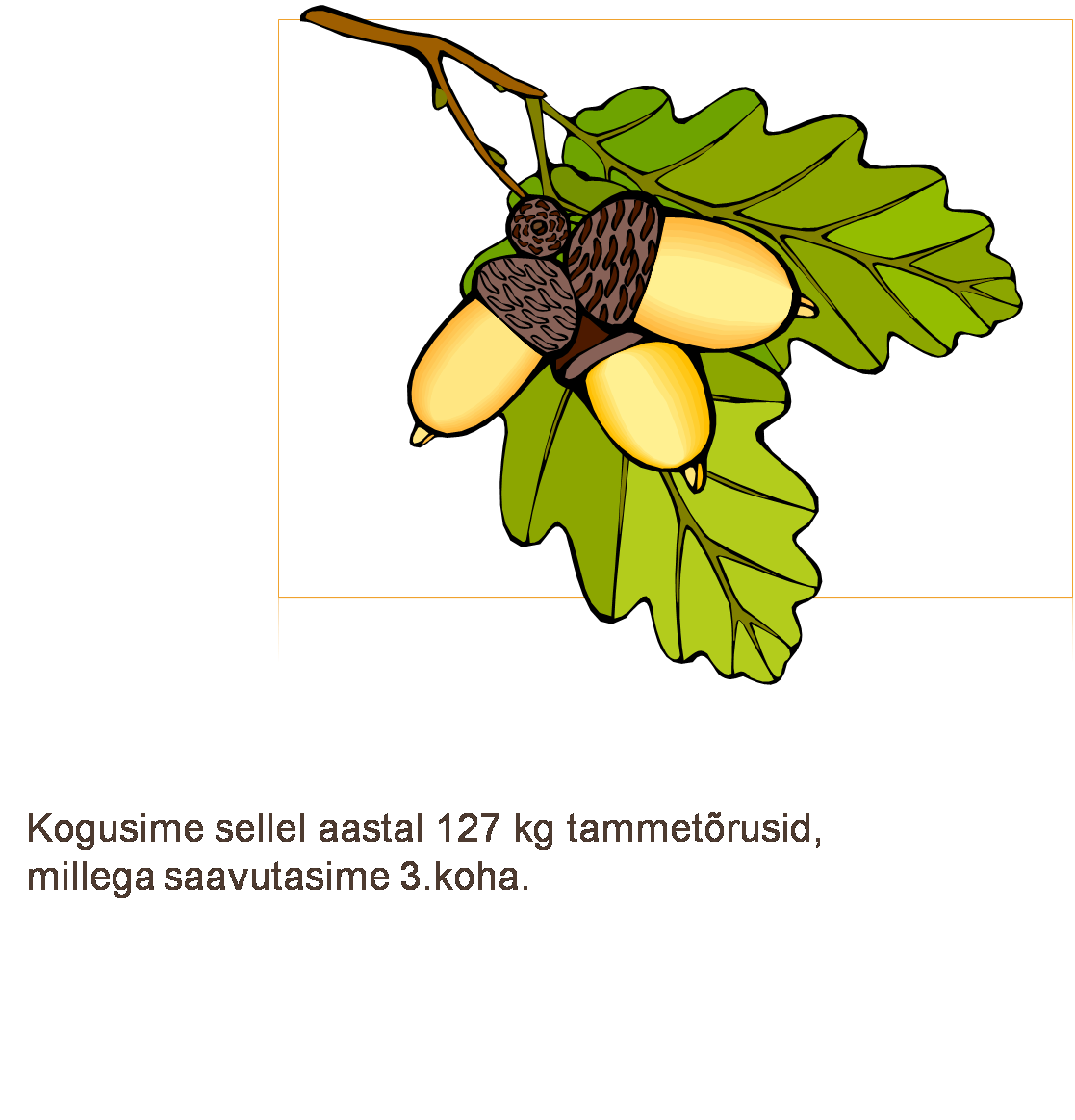 Дубовые желуди