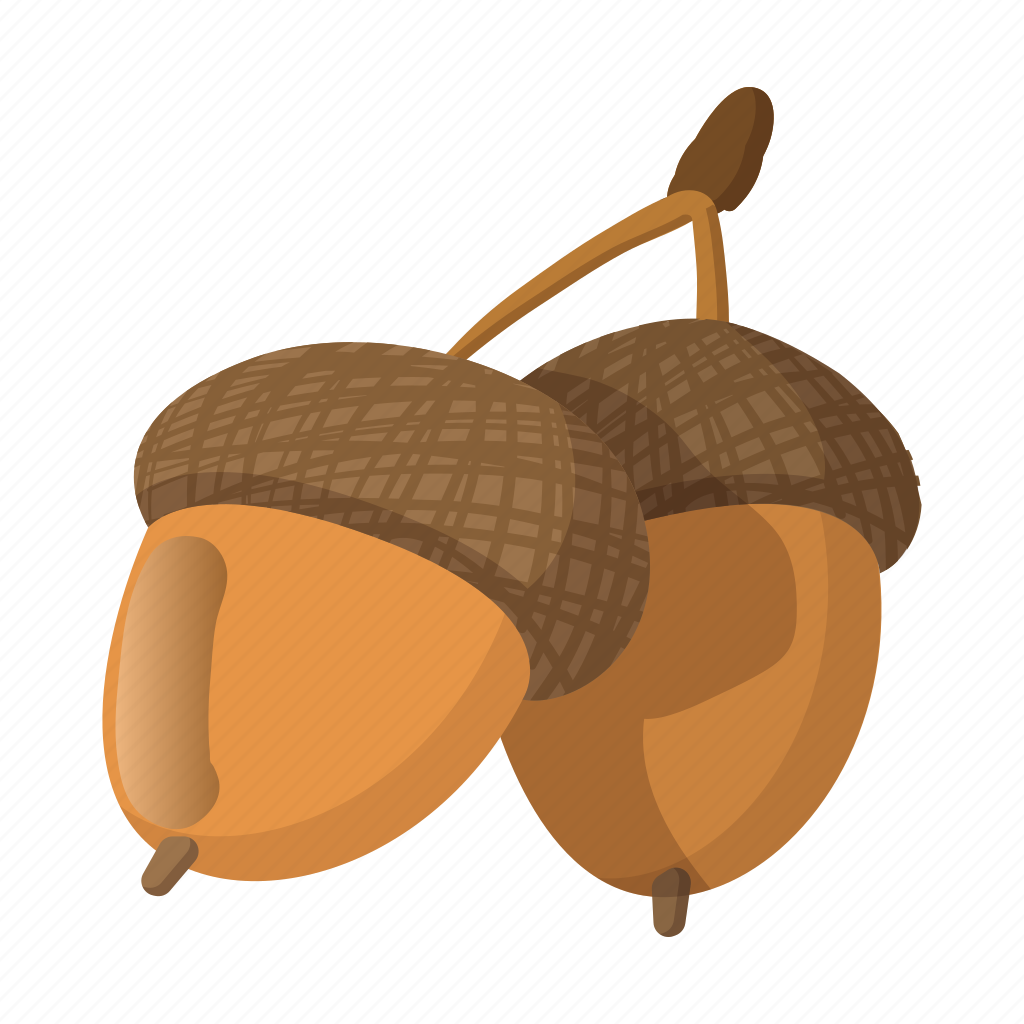 Мультяшная Желудь на белом фоне