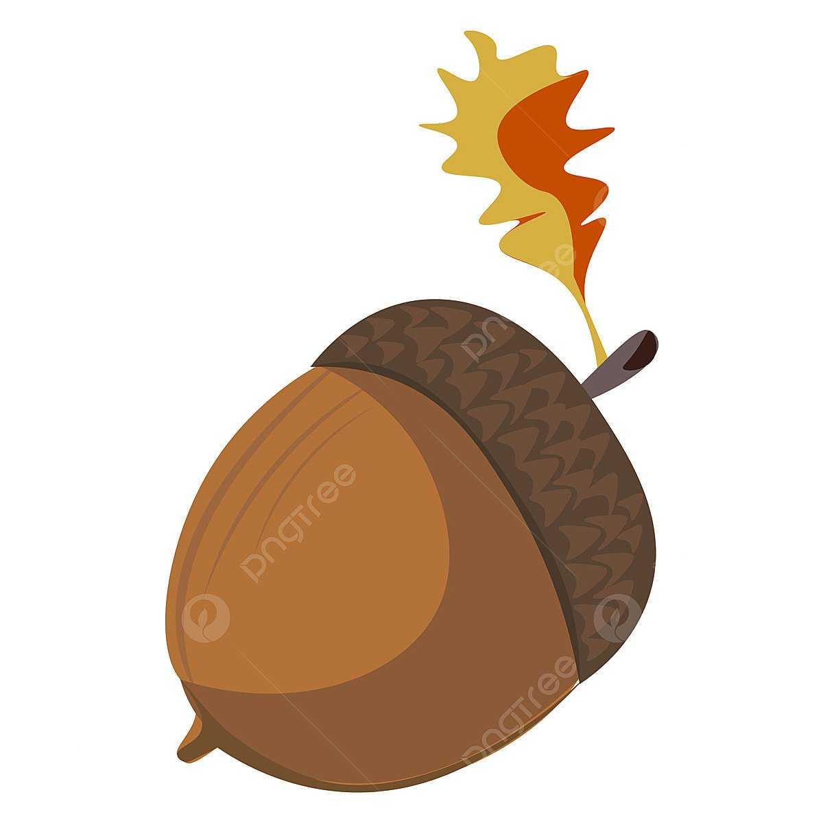 Желудь мульт