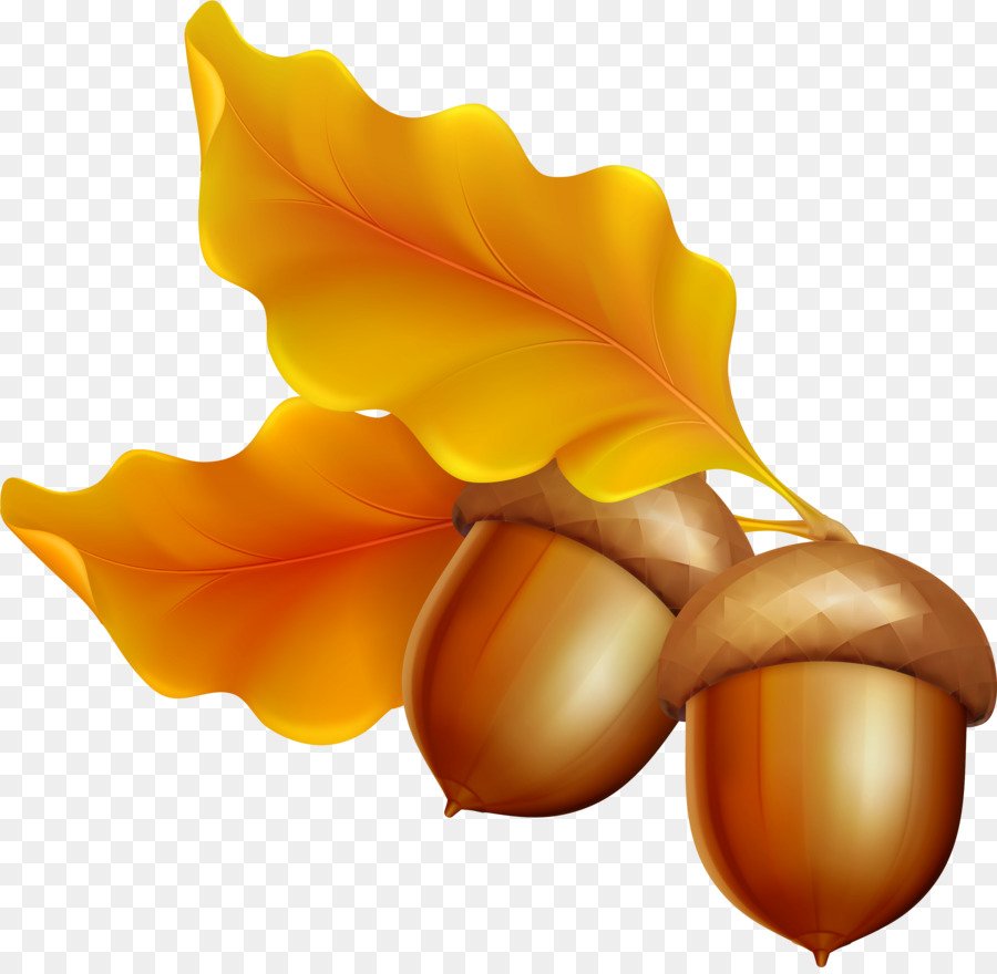 Осенние листья и желуди