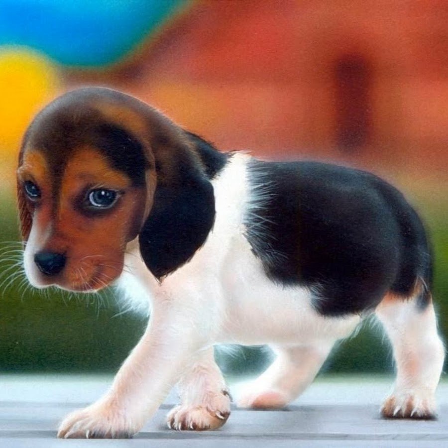 Не обижайте тех кто вас любит ведь они беззащитны из-за любви к вам