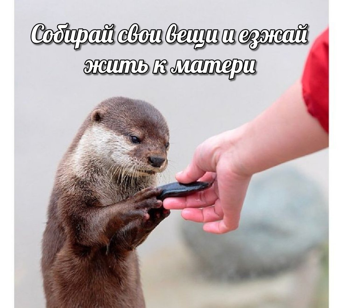 Выдра вышивка гладью