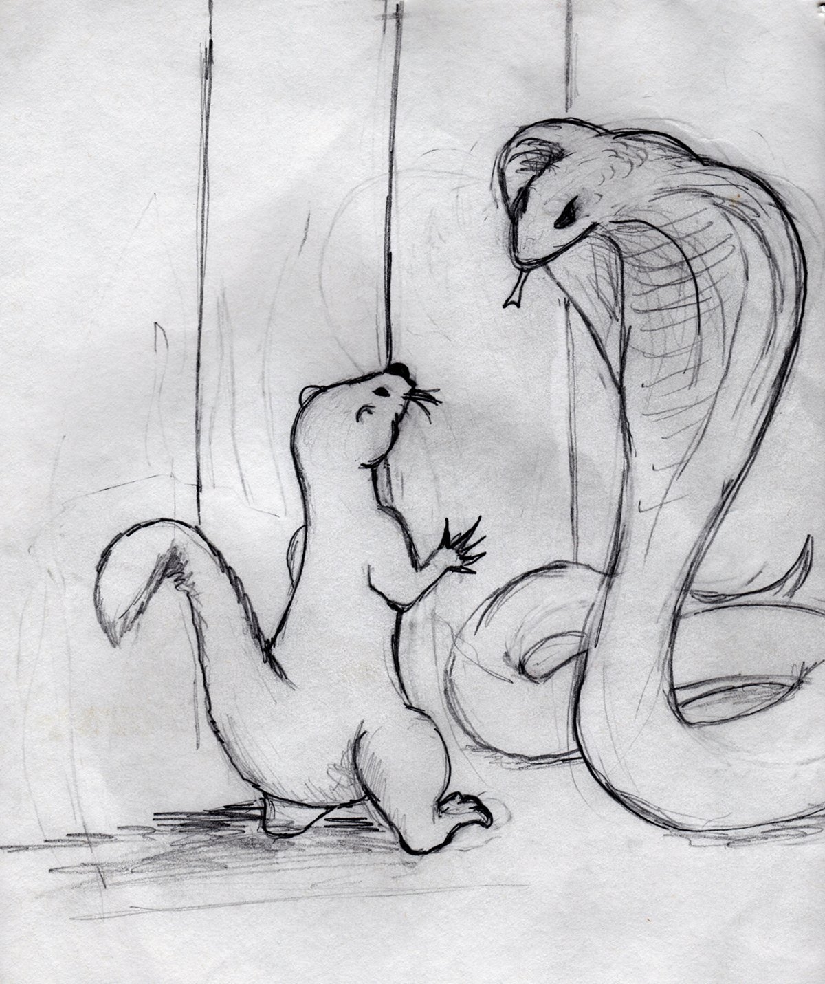 Рикки Тикки Тави иллюстрации к сказке