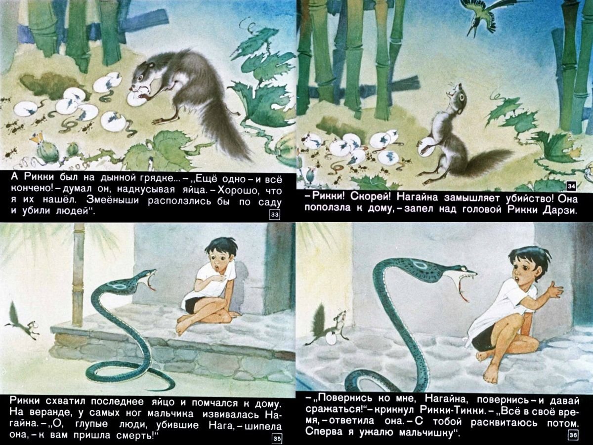 Киплинг Рикки Тикки Тави диафильм