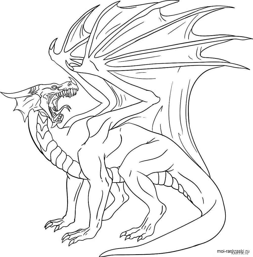 Дракон для срисовки