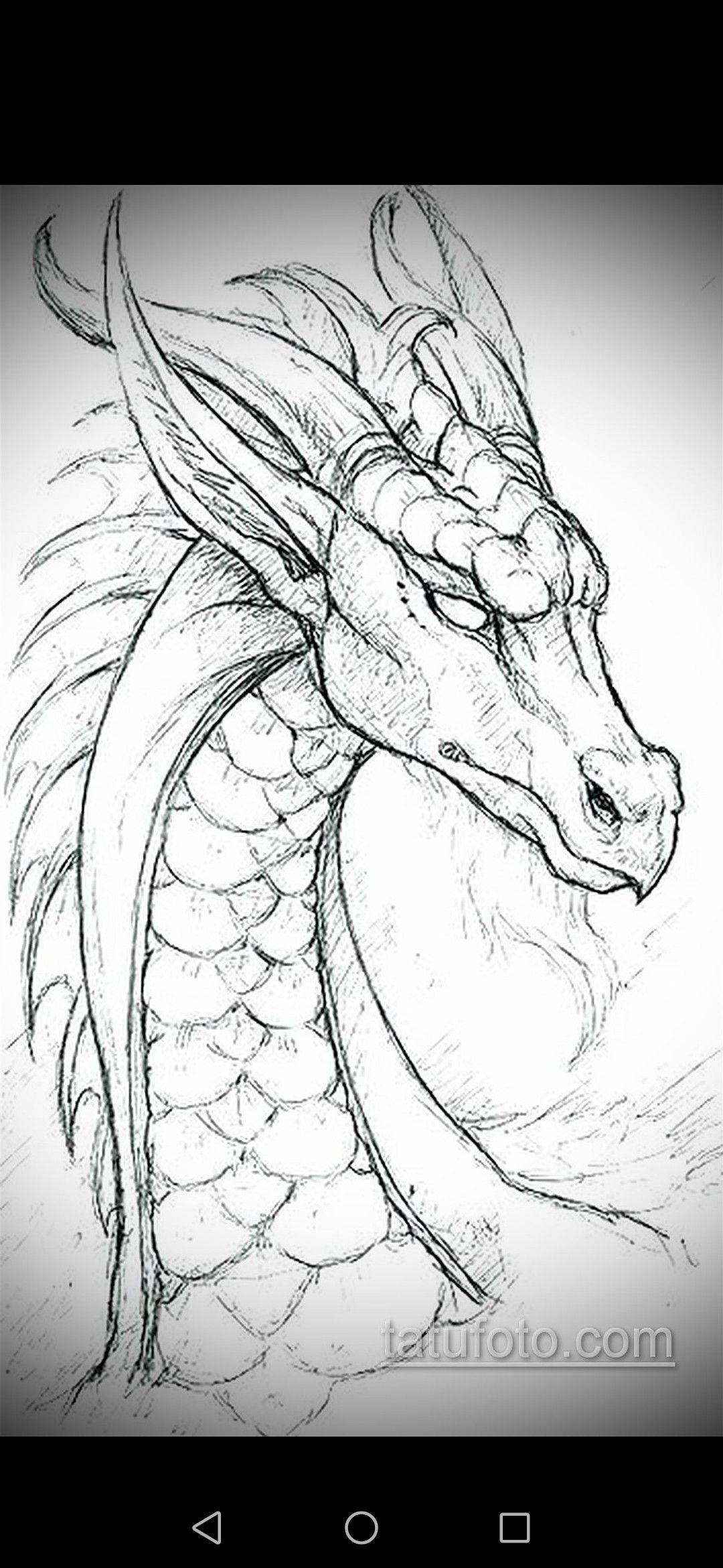 Дракон рисунок карандашом