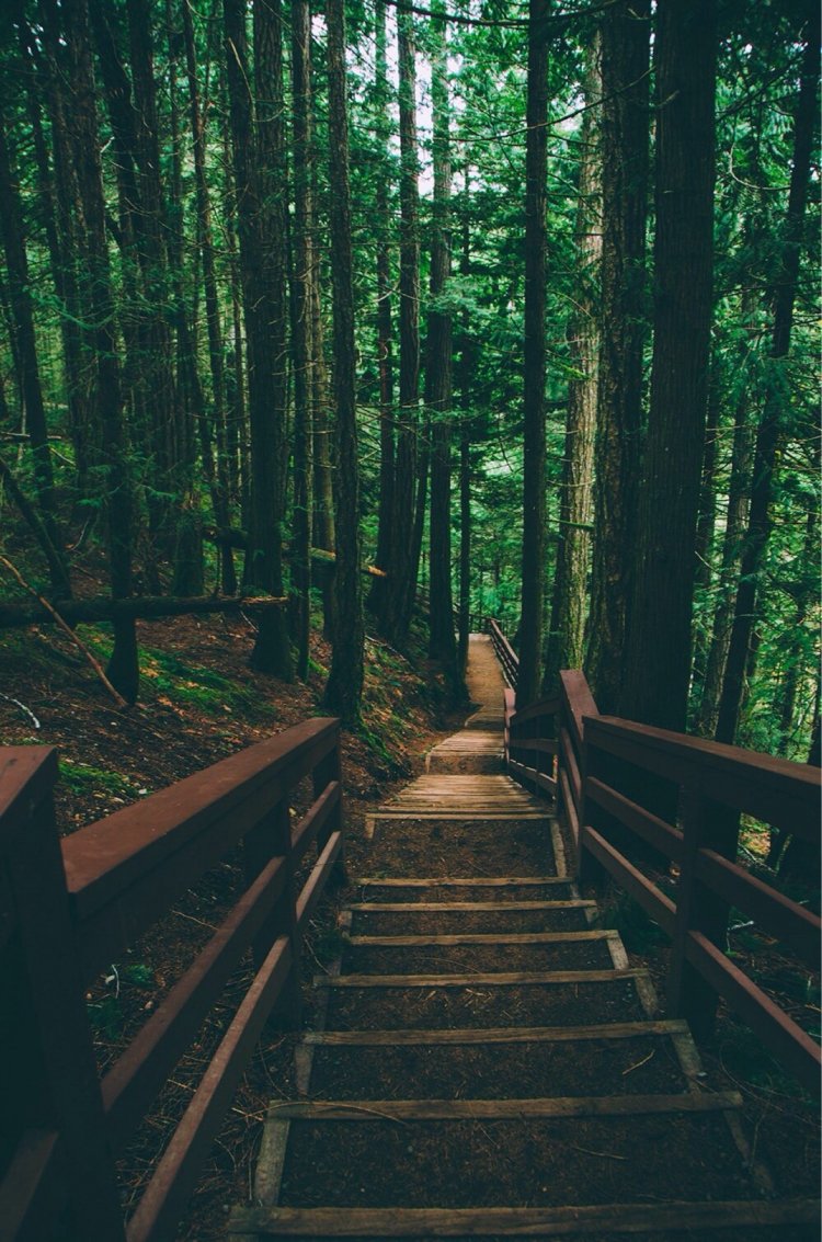 Путешествия природа