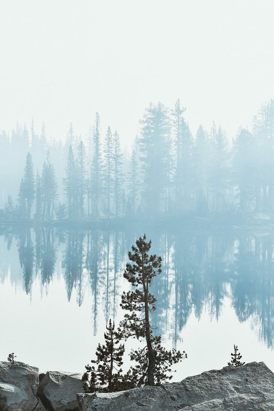 Минимализм природа