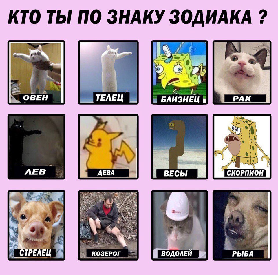 Мем по знаку зодиака