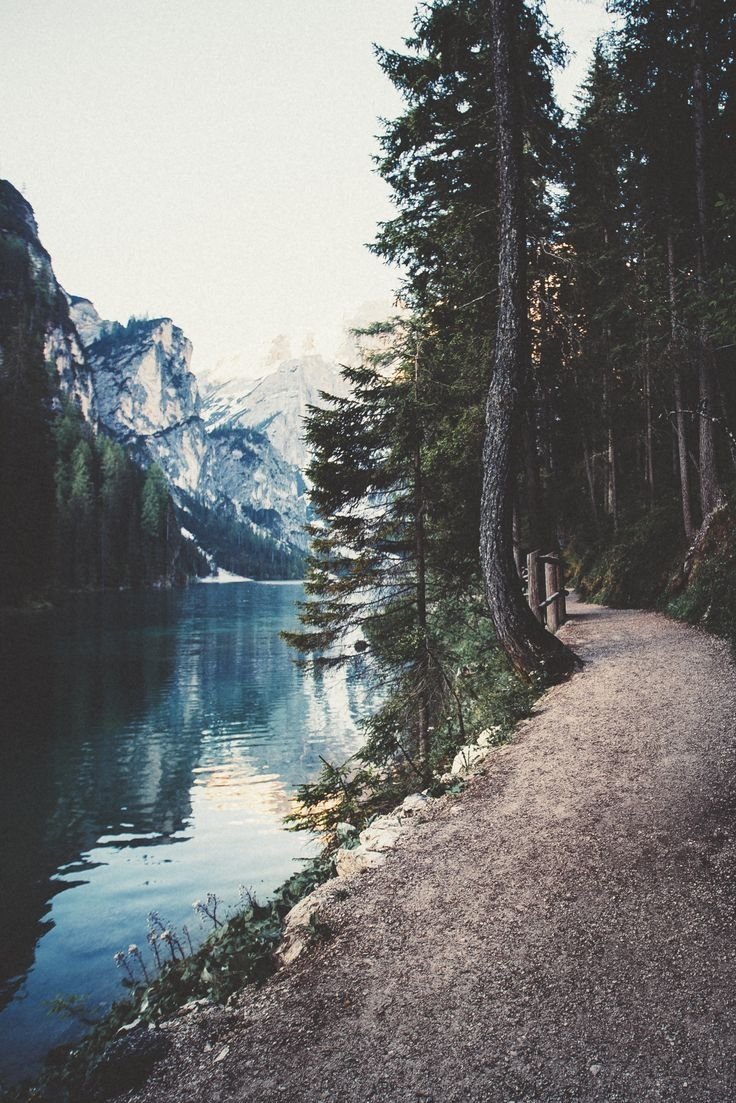 Осенний лес