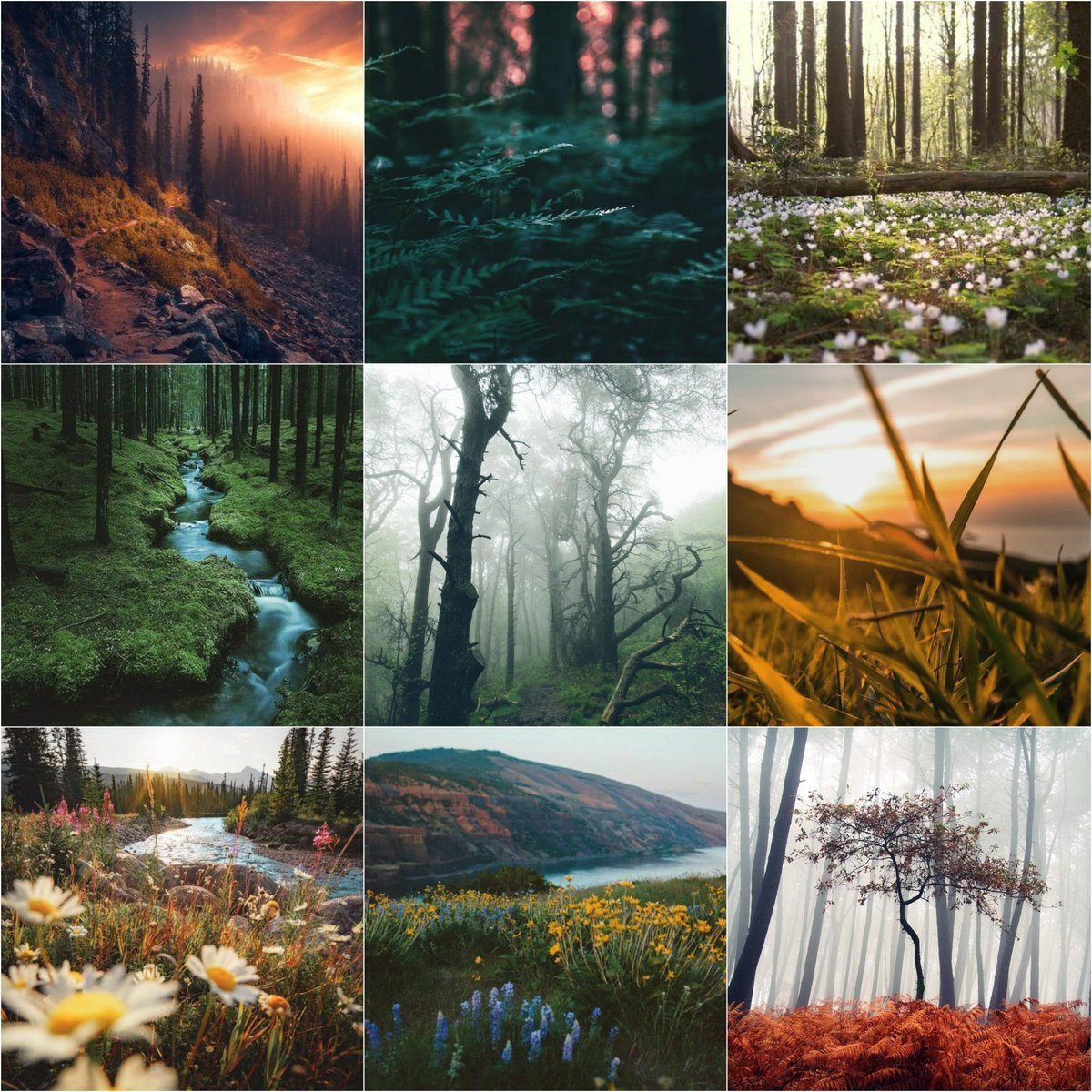 Природа Вдохновение