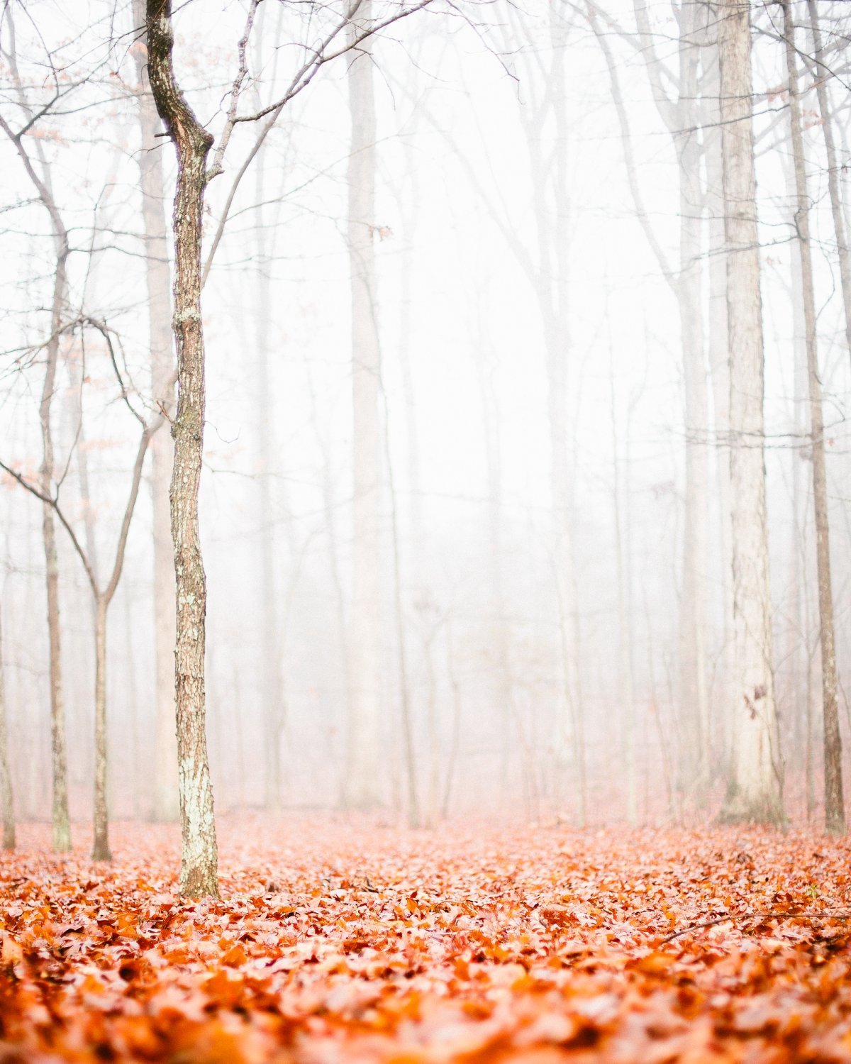 Красивый зимний фон для сторис
