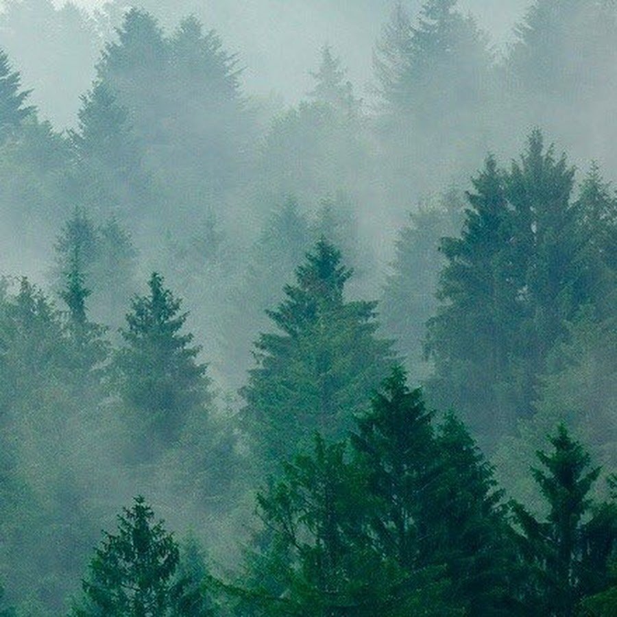 Эстетика природы