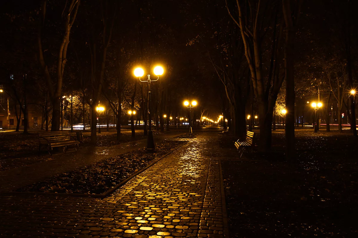 Летняя ночь в городе