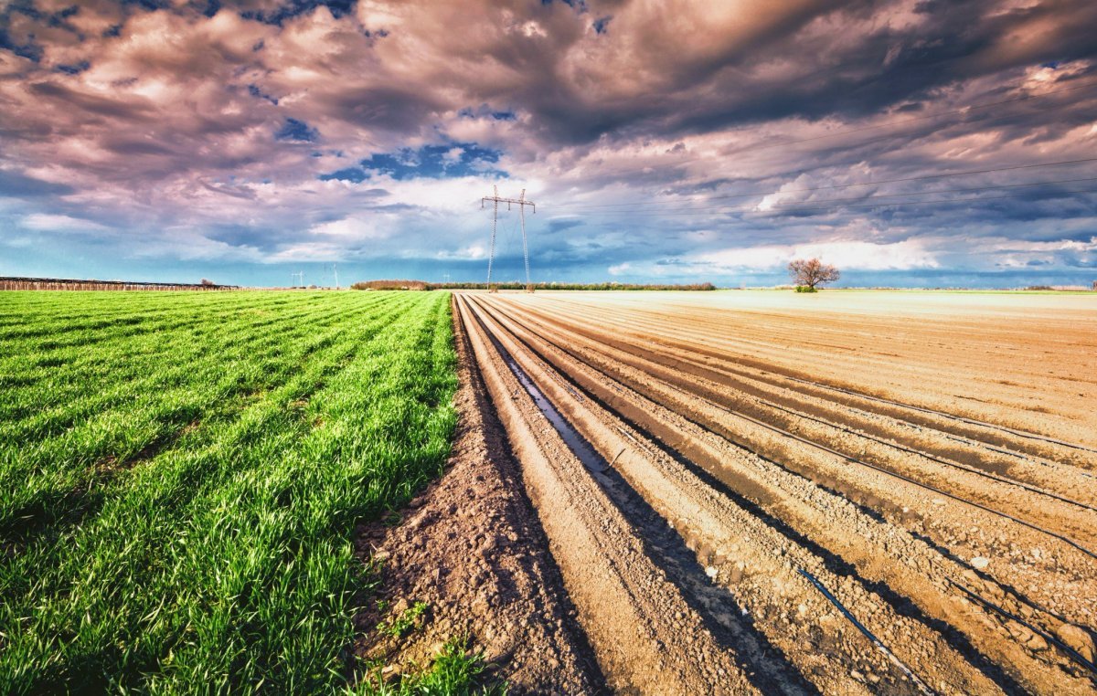 Пашня панорама