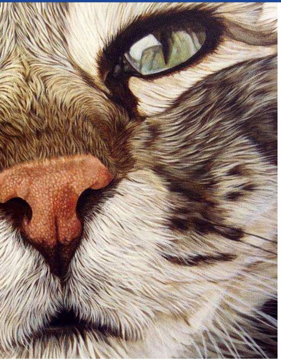 Картины необычные кошки