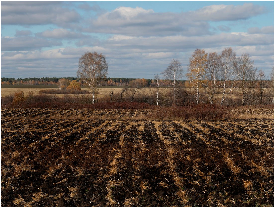 Борозда осенью