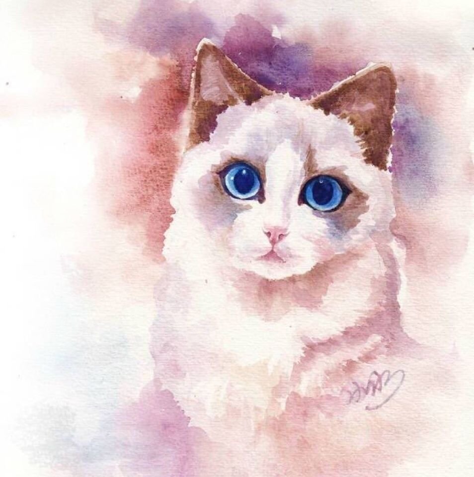 Белая кошка с венком