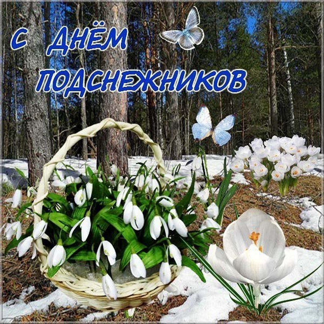 19 Апреля день подснежника