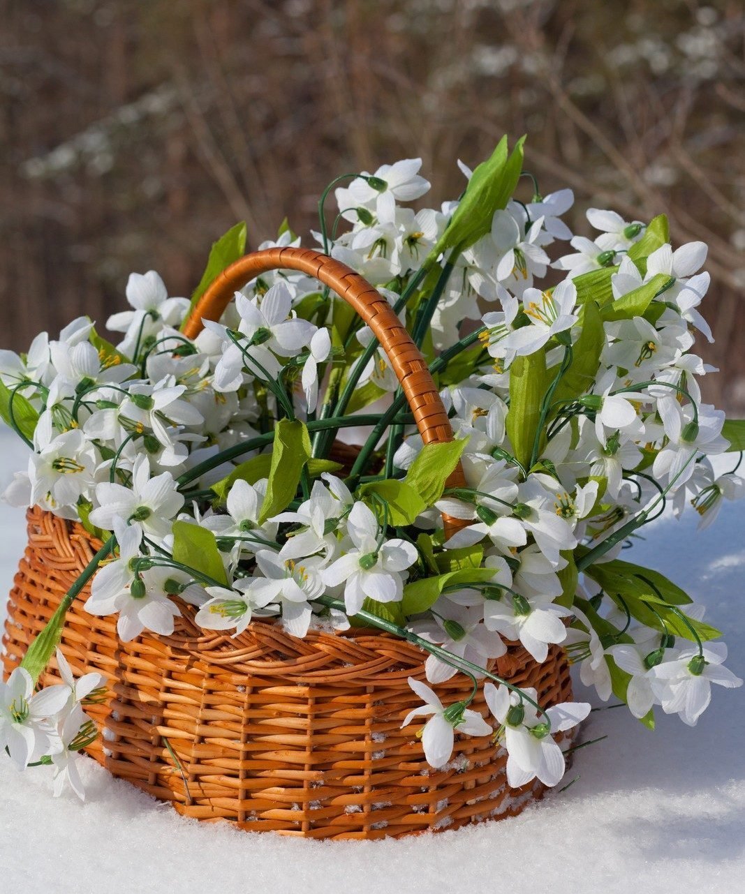 Поздравительная открытка