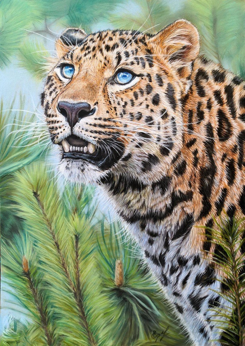 Алмазная мозаика Basir "леопард на дереве", 50*40 см (МС-5406) (1017) (1/16)