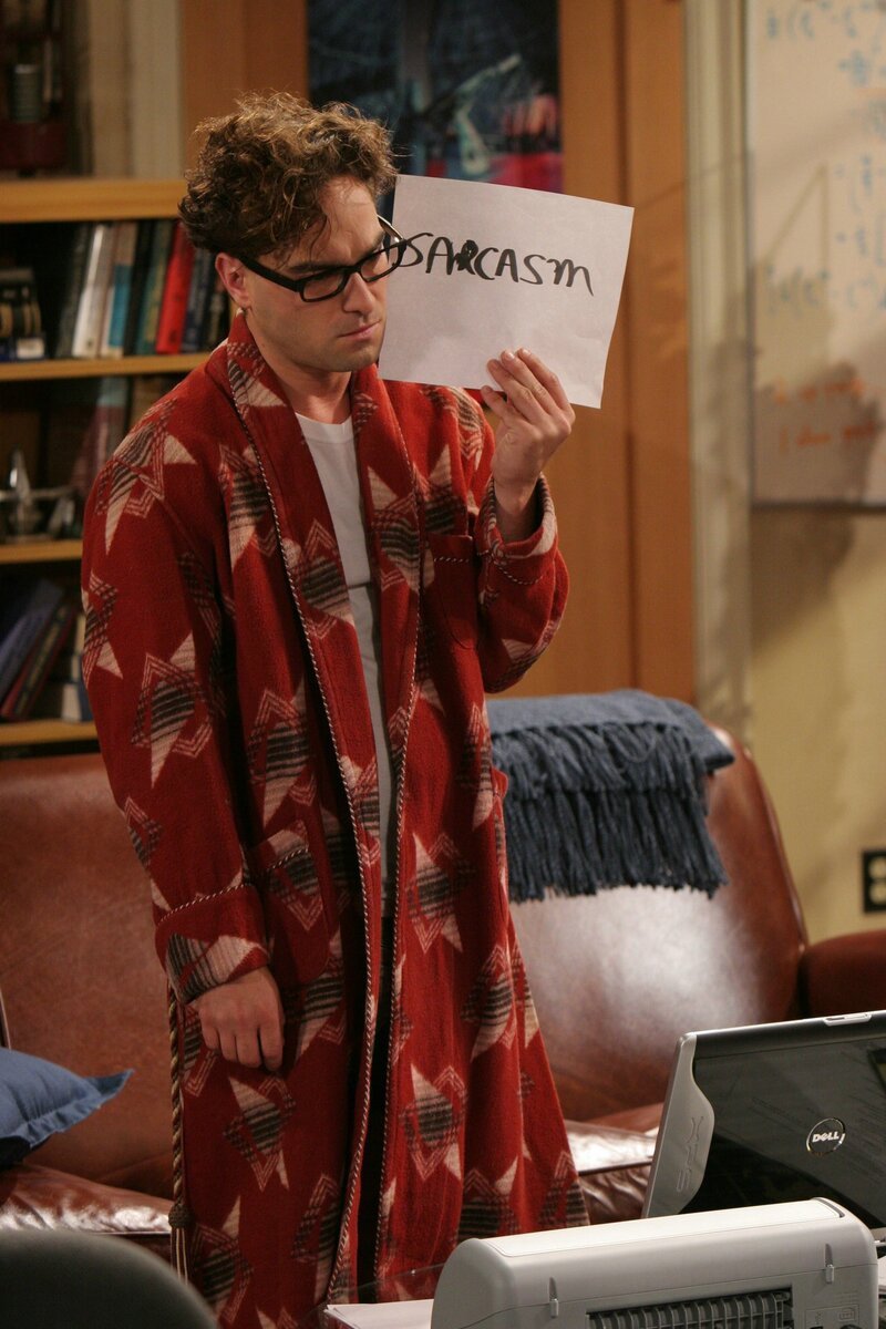 Леонард хофстедтер сарказм