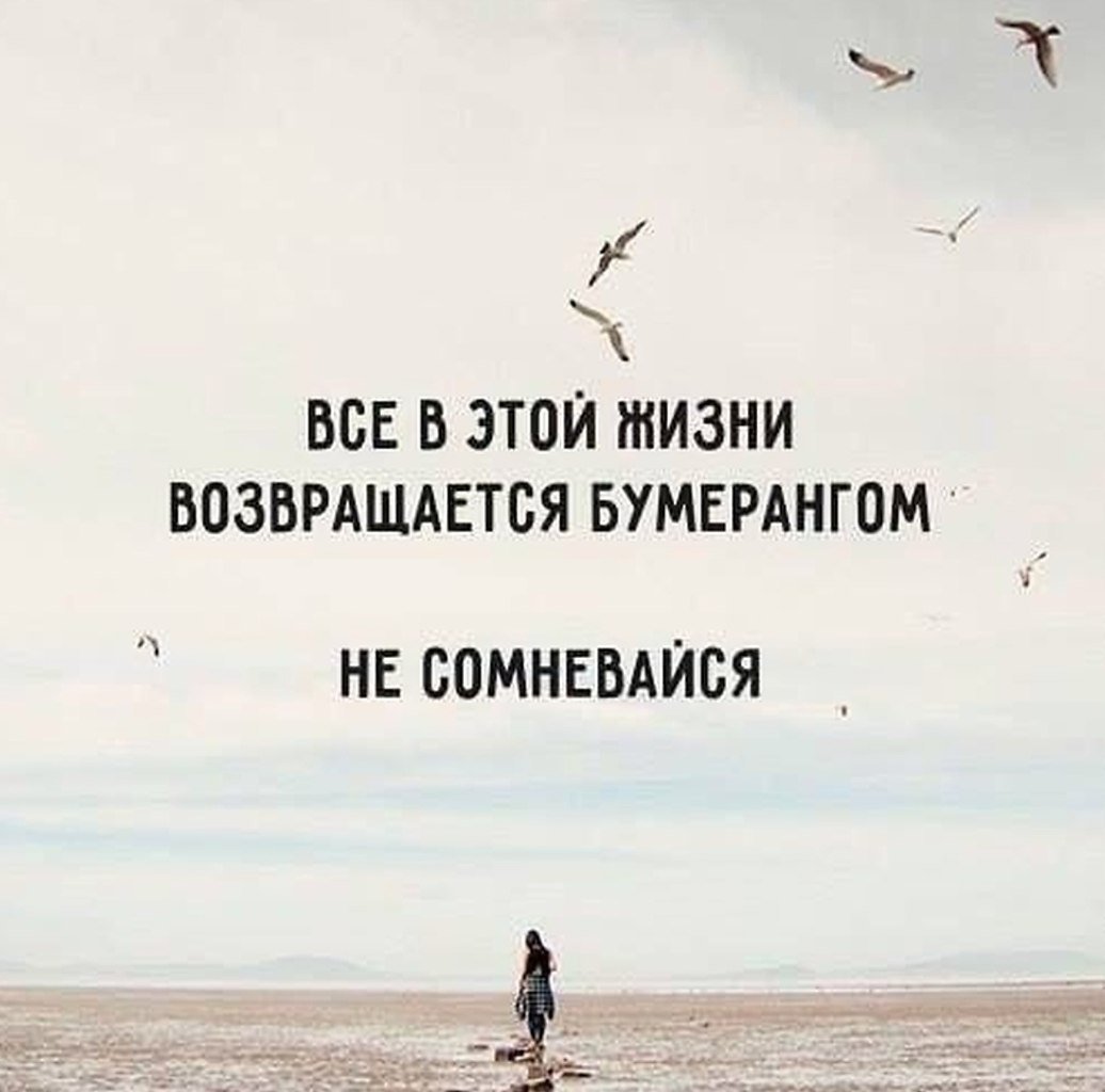 Земля круглая высказывания