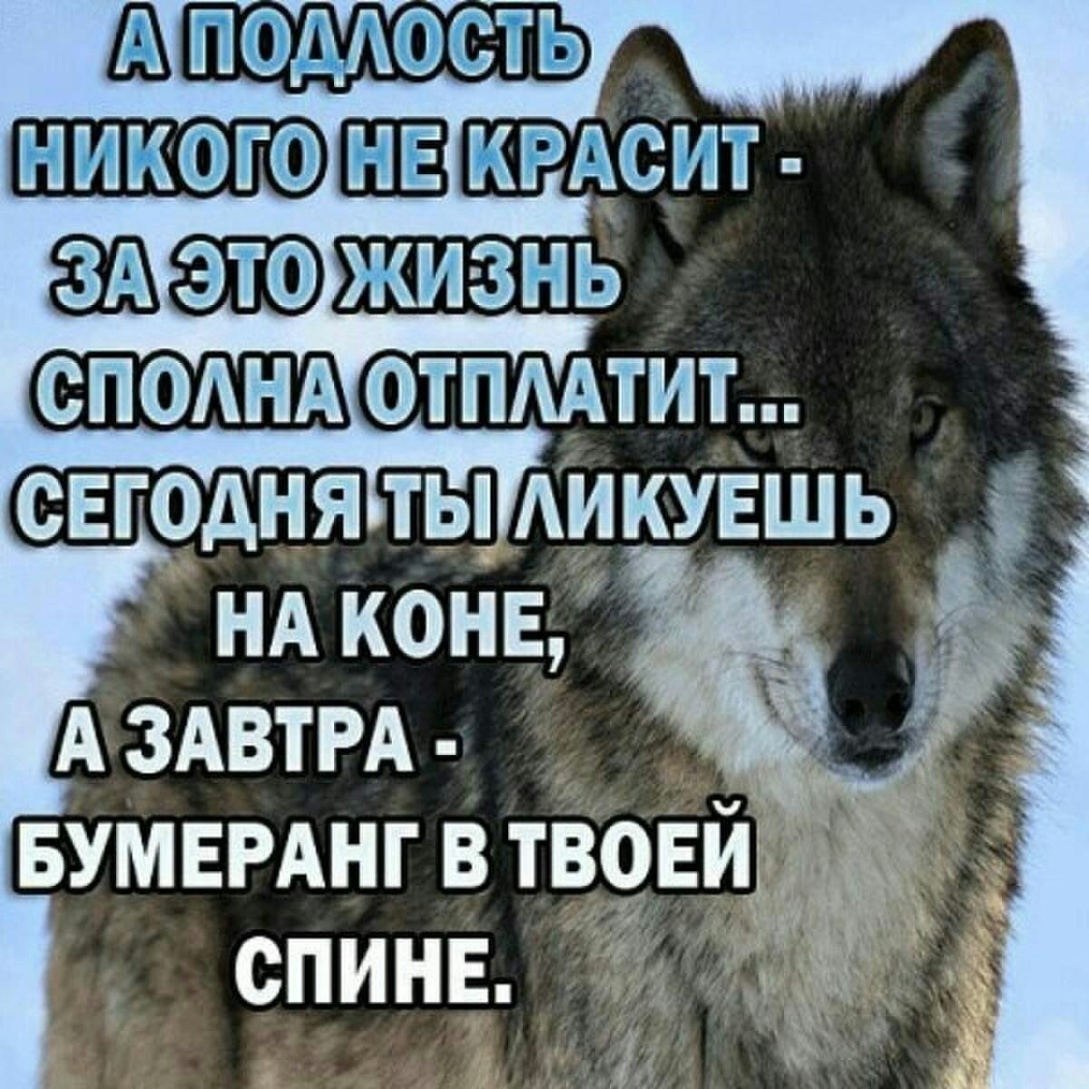 Цитаты про Бумеранг в жизни со смыслом