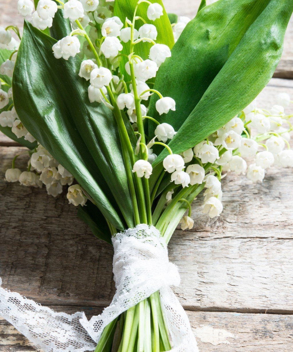 Ландыши сирень тюльпаны