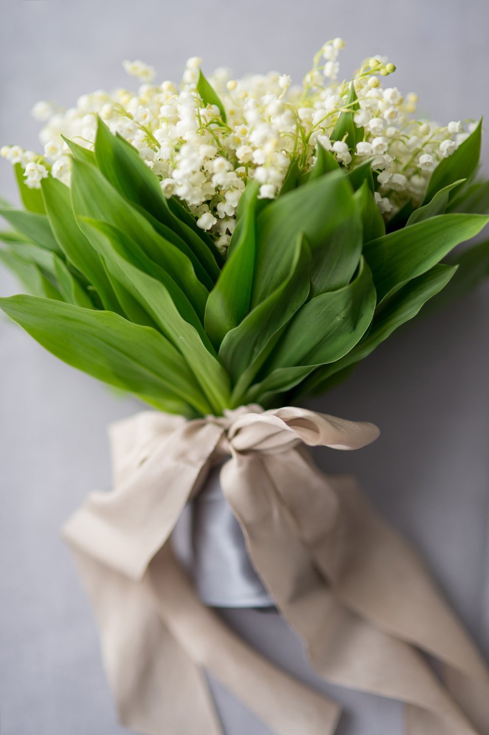 Ландыши Ландыши тюльпаны Ландыши