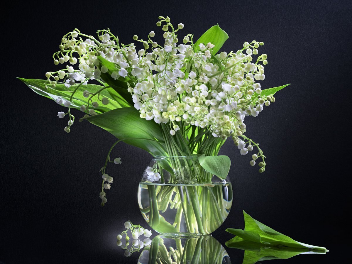 С днём рождения Ландыши