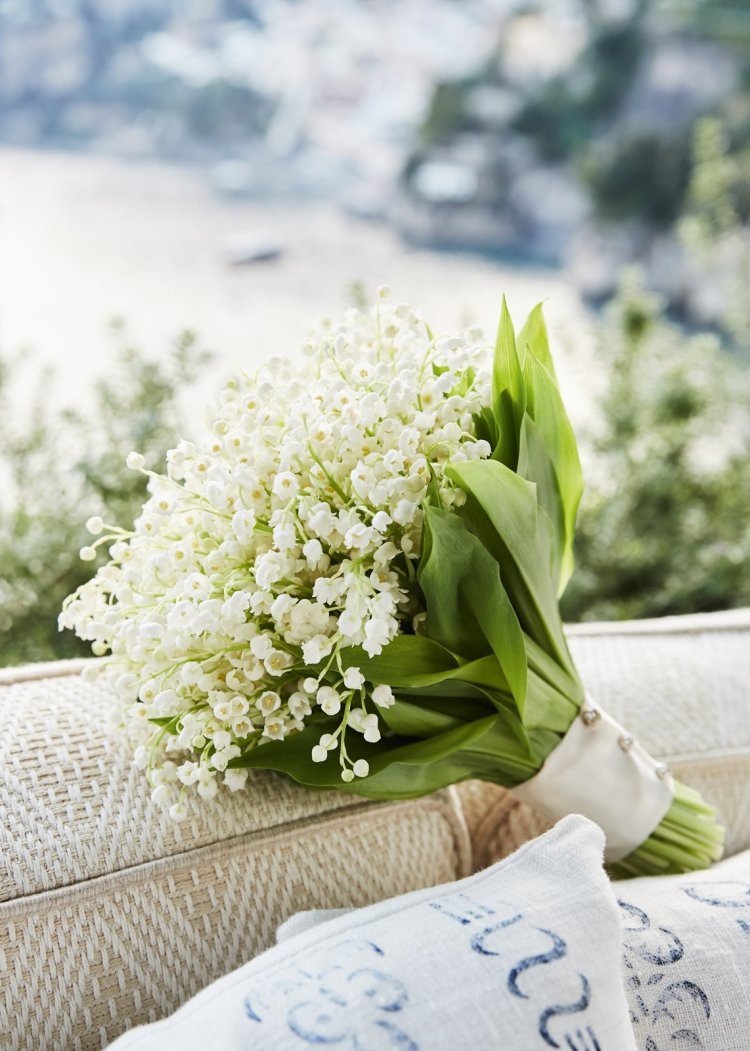 Ландыши фото красивые