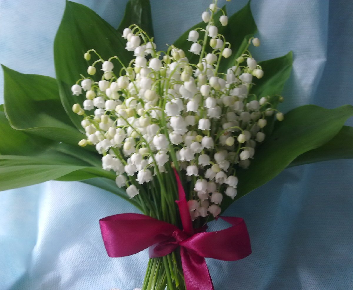 Ландыши Эстетика