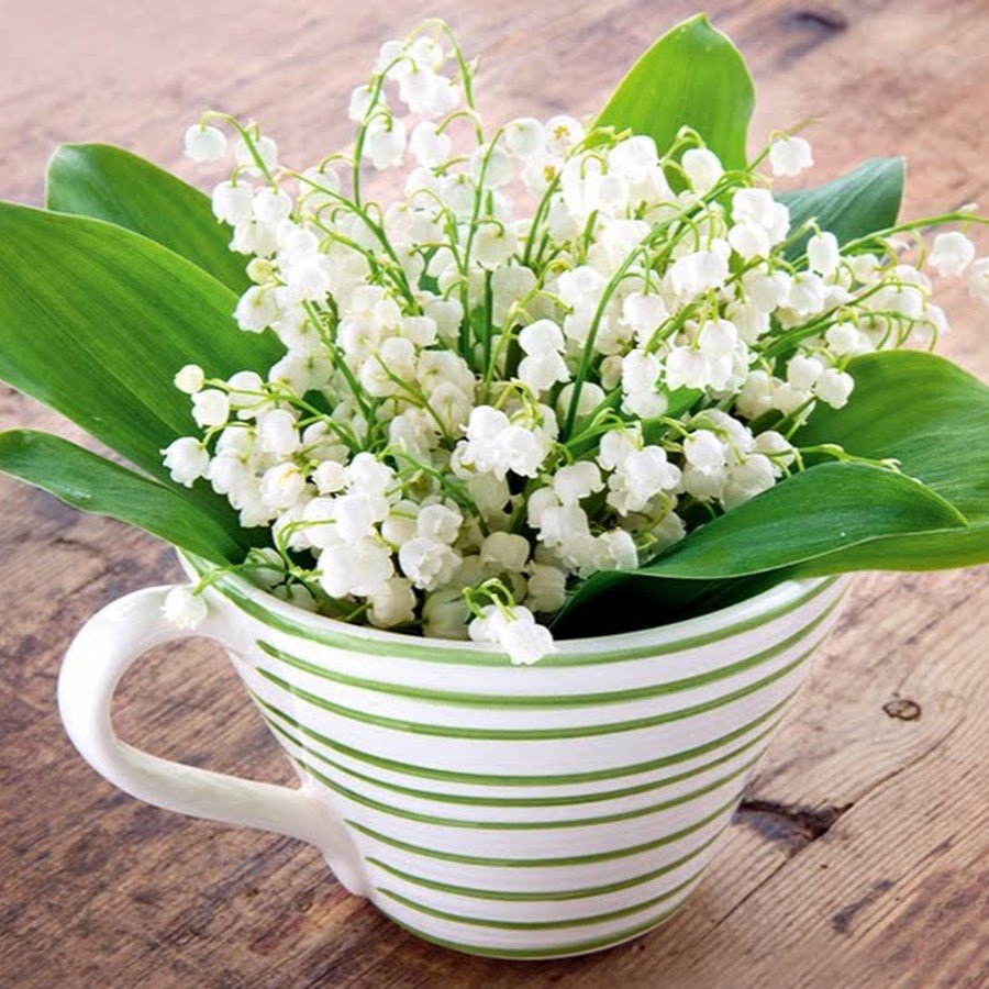 Ландыши тюльпаны Ландыши