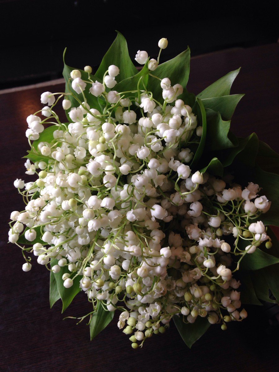 Букет ландышей на белом фоне