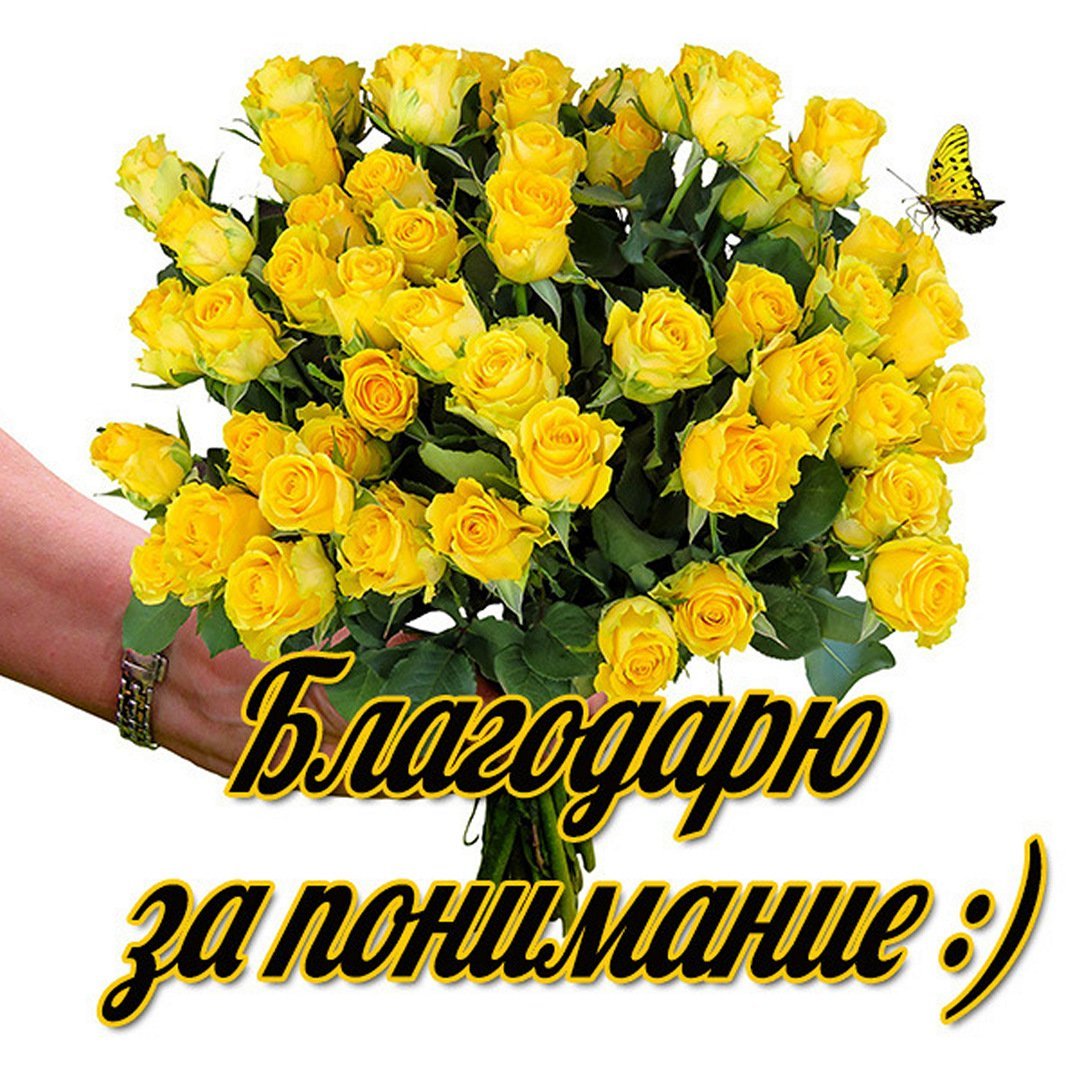 Цитаты на каждый день