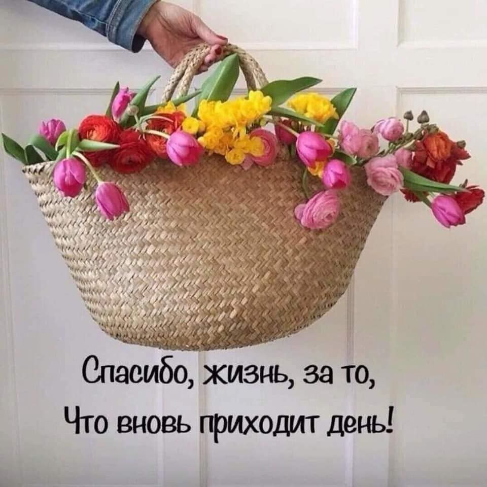 Открытка здорово