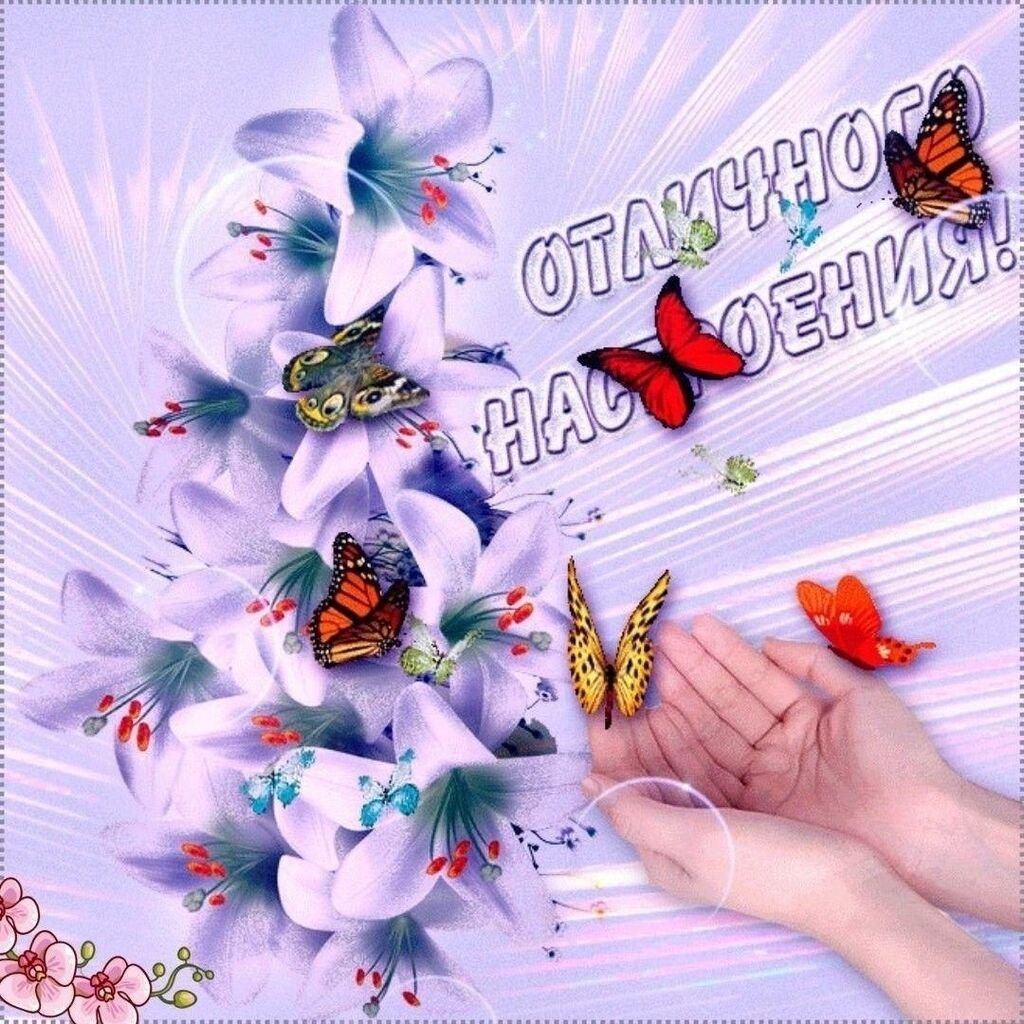 Открытки привет